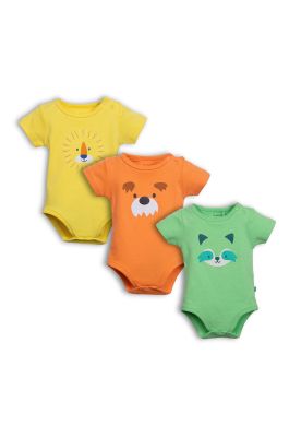 Body Surtido Pillin (PVC204-25SUR)