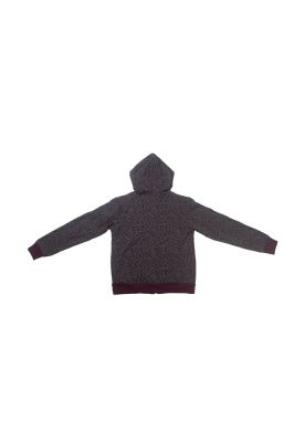 Imagen 2 del producto Polerón Niño Gris Claro Pillin