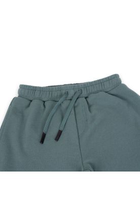 Imagen 2 del producto Bermuda Niño Verde Pillin (TVA505-24VER)