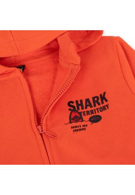 Imagen 2 del producto Polerón Niño Naranja Pillin