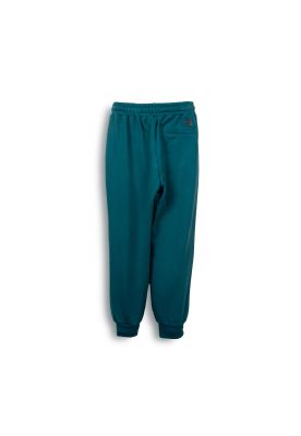 Imagen 2 del producto Pantalón Buzo Niño Verde Pillin (PVC507-25VER)