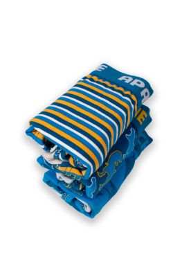 Calzoncillo Niño Multicolor Pillin (PRB218-25SUR)