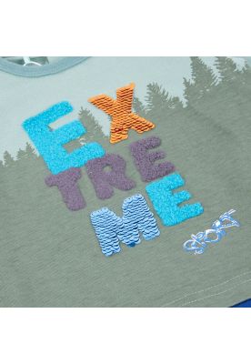 Imagen 2 del producto Polera Bebé Niño Verde Pillin