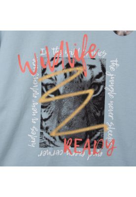 Imagen 2 del producto Polera Niño Celeste Pillin (TVC611-25CEL6)