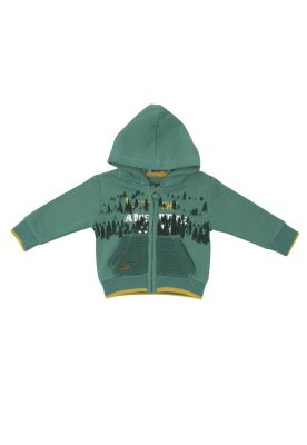 Imagen 1 del producto Polerón Bebé Niño Verde Pillin