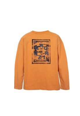 Imagen 2 del producto Polera  Pillin Café Niño (TVD606-26OCR)