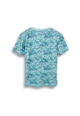 Imagen 1 del producto Polera Niño Verde Pillin (PVC643-25VER)