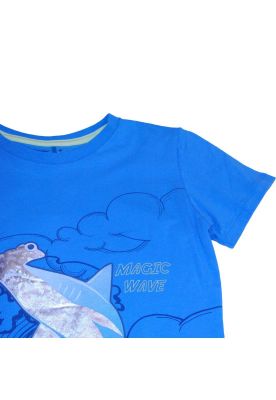 Imagen 2 del producto Polera Niño Azul Pillin