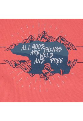 Imagen 2 del producto Polera Niño Rojo Pillin