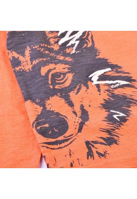 Imagen 2 del producto Polera Manga Larga Niño Naranja Pillin