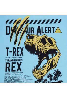 Imagen 2 del producto Polera Niño Turquesa Pillin