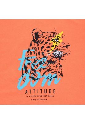 Imagen 2 del producto Polera Niño Naranja Pillin