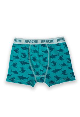 Imagen 2 del producto Calzoncillo Niño Multicolor Pillin (PRB215-25SUR)