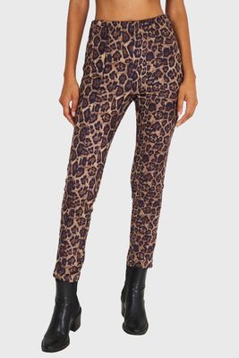 Calza Leopardo Café Nicopoly