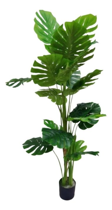 Planta Artificial Tortuga Decorativa Adorno Verde 175cm Jhn-0