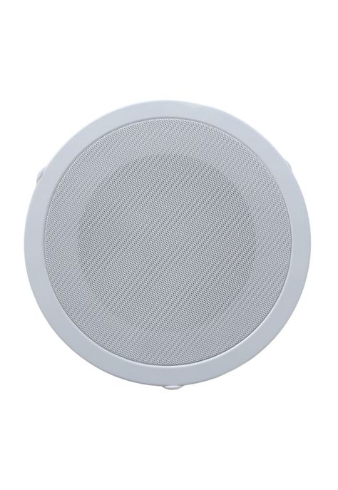 Parlante Ambiental de Cielo CarverPro EVE-860-0