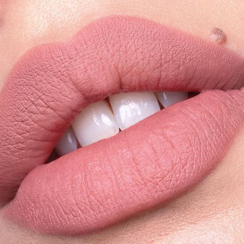 Delineador De Labios Plumping Understated Chic-4