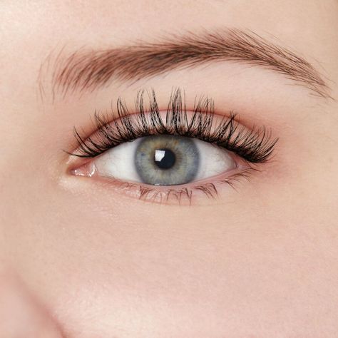 Pestañas Lash Couture Classic-3