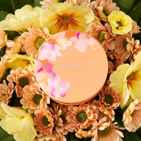 Iluminador Seeking Flowers C02 - Apriglow-4