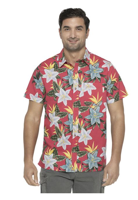 Camisa Hombre Coral Panama Jack-0