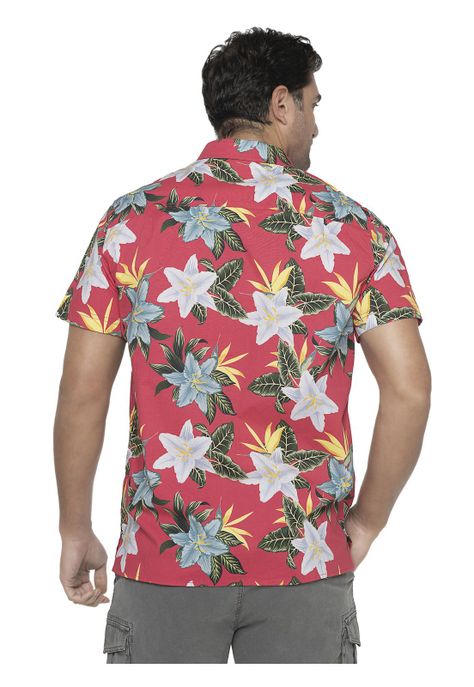 Camisa Hombre Coral Panama Jack-1