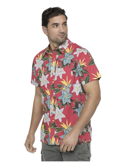 Camisa Hombre Coral Panama Jack-2
