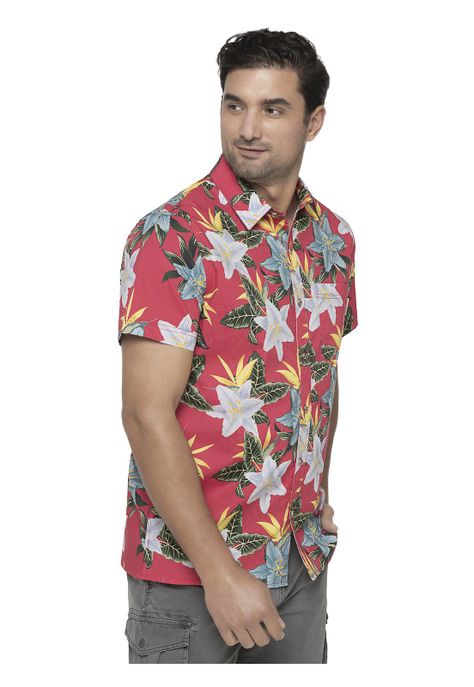 Camisa Hombre Coral Panama Jack-3