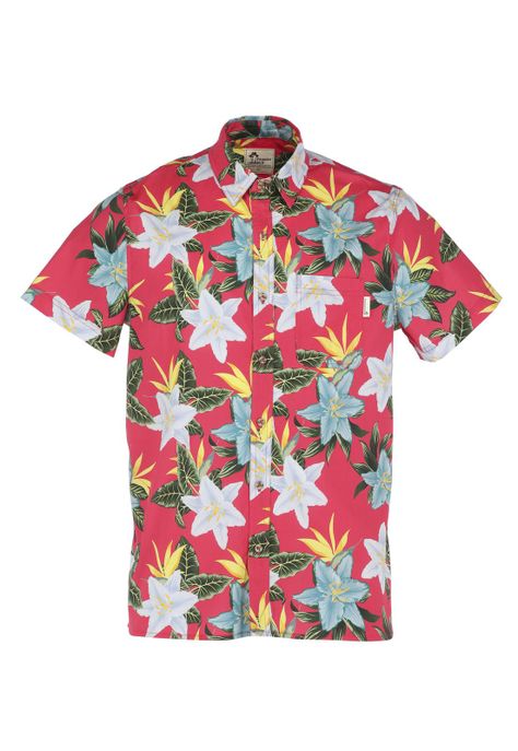 Camisa Hombre Coral Panama Jack-5