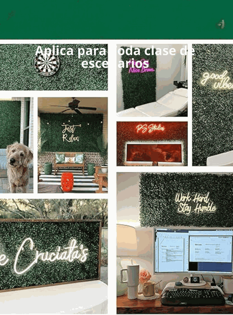 Pack 5 Palmetas artificial trebol vertical de 60x40cm - Envío Gratis-4