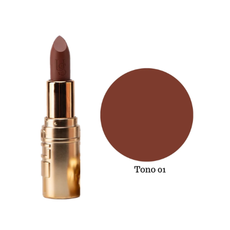 Labial en Barra Matte Ushas T01-0