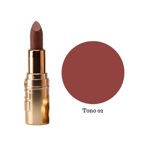Labial en Barra Matte Ushas T02-0