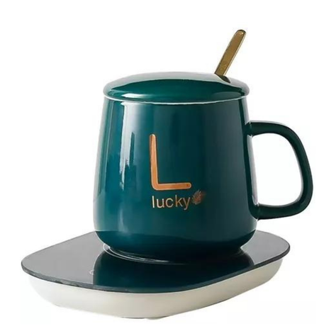 Taza Con Calentador Eléctrico 55°c Tazón + Caja De Regalo-0