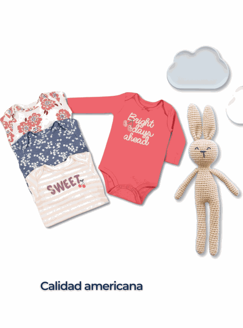 Pack 4 Bodys Bebé Niña Manga Larga Tedmimak 100% Algodón Floral Baby-5