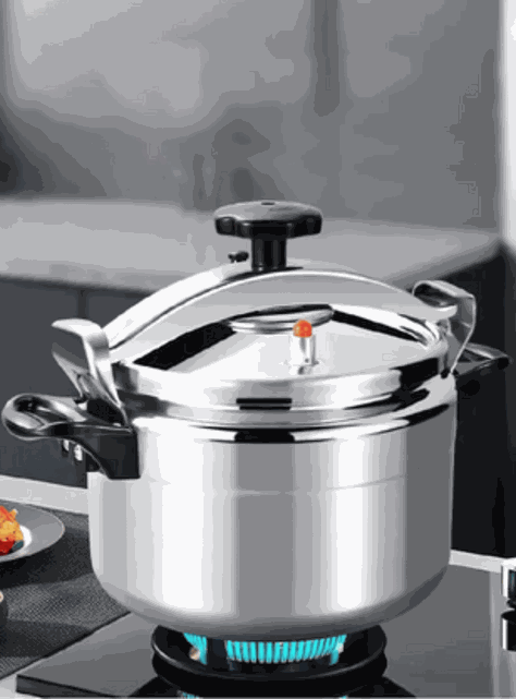 Olla a Presión Capacidad 5 Litros Calidad Premium-3