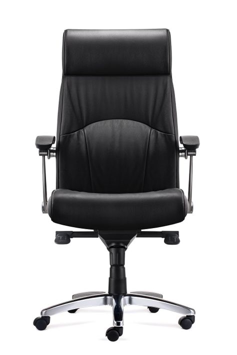 Sillón ejecutivo Noa-1