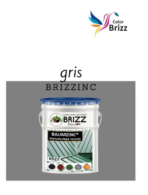 Galon Brizzinc Baum Colorbrizz GRIS-1