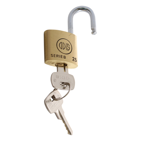 Pack 2 Candados Odis B25 25mm - Llaves Iguales-1