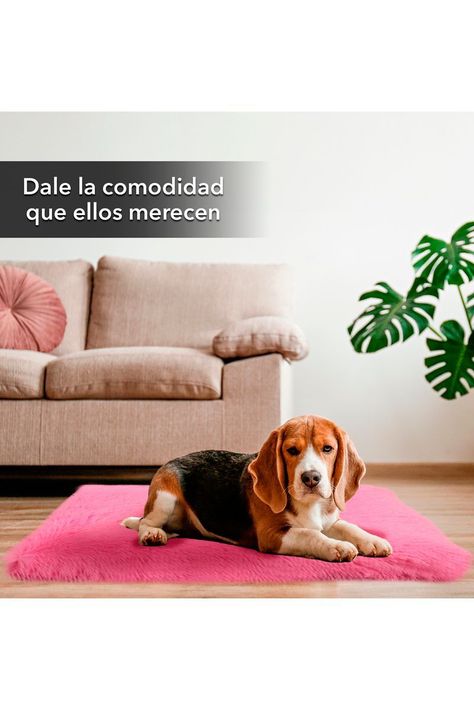 Colchoneta Mascotas Antiestres Rectangular L Rosa-1
