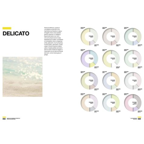 Libro Armonía Cromática Edición Pantone Leatrice Eiseman-3