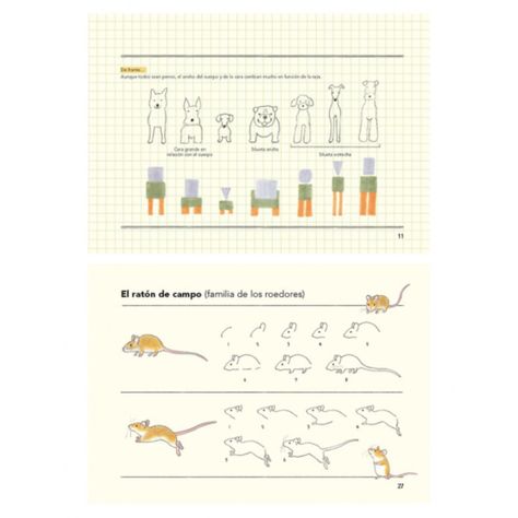 Libro Cómo Son Los animales Y Cómo Dibujarlos Ai Akikusa-3