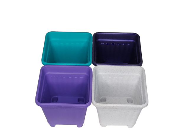 Pack 50 Unidades Macetero Cuadrado 10 Cm Colores-1