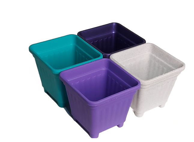 Pack 50 Unidades Macetero Cuadrado 10 Cm Colores-2