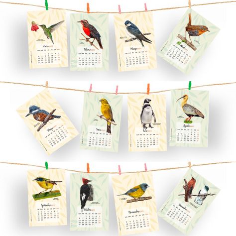 Calendario Aves de Chile 2025-1