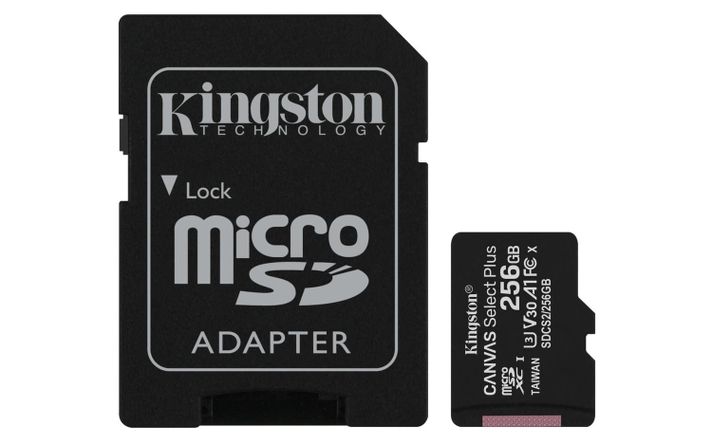 Memoria Flash Canvas Select Plus 256 GB MicroSDXC Clase 10-0
