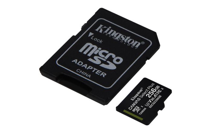 Memoria Flash Canvas Select Plus 256 GB MicroSDXC Clase 10-1