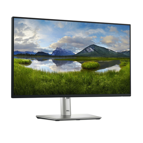 Monitor Dell P2425H Full HD 23.8"-1