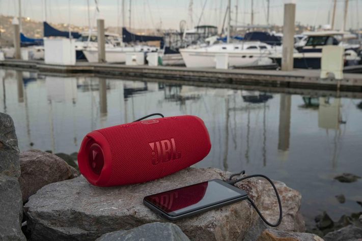Altavoz portátil estéreo Charge 5 Azul-9