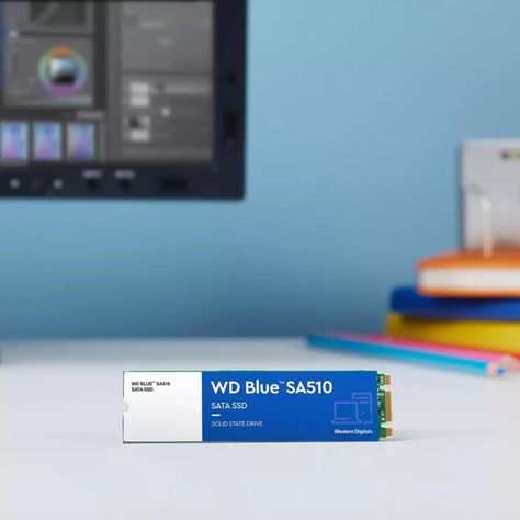 Disco Estado Sólido Interno WD Blue SA510 500GB M.2-5