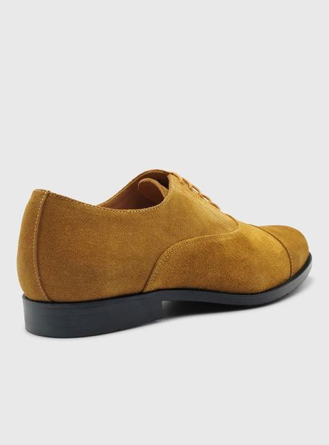 Zapato Templarios Antonio Café-3