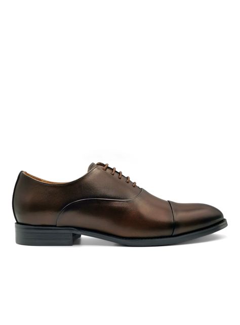 Zapato Hombre Julian Café Oscuro Templarios-0